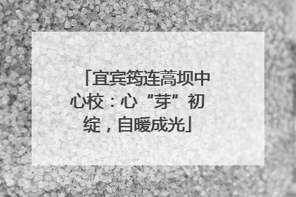 宜宾筠连蒿坝中心校：心“芽”初绽，自暖成光